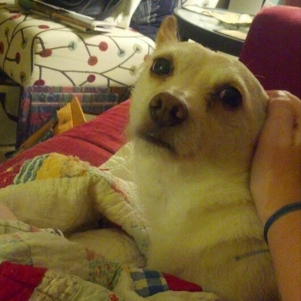 Meet your Posher, Laura